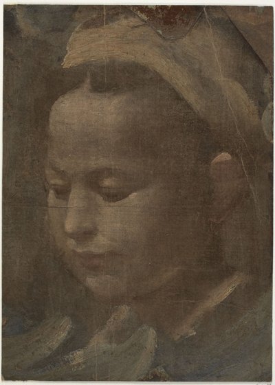 Głowa młodej kobiety autorstwa Domenico Beccafumi