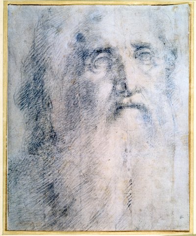 „Studium głowy starca z brodą”, ok. 1535 r. autorstwa Domenico Beccafumi