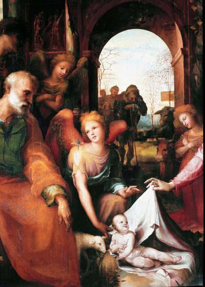 Szopka, szczegół. Obraz Domenico Beccafumi (1486-1551) autorstwa Domenico Beccafumi