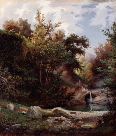 Krajobraz natury, zarośla i potok z wodospadem Obraz Domenico Cambiaso (1811-1894) ok. 1865 Wymiary 43,5x37 cm Genes, Galleria d