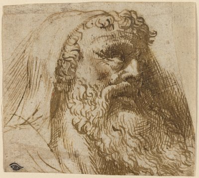 Głowa mężczyzny autorstwa Domenico Campagnola