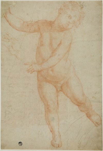 Putto stojący na prawej nodze (recto); Szkic udrapowanego ramienia (verso) autorstwa Domenico Cresti