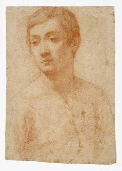 د ځوانانو مشر، c.1600-25 (په ایښودل شوي کاغذ باندې سور چاک) پولی autorstwa Domenico Cresti