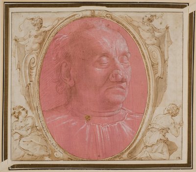 Głowa starego człowieka autorstwa Domenico Ghirlandaio
