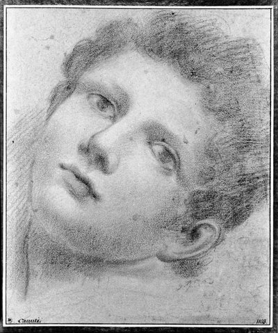Głowa młodego człowieka, pochylona do tyłu autorstwa Domenico Maria Canuti