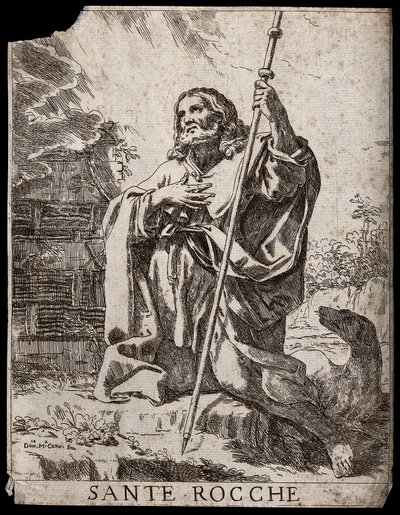  autorstwa Domenico Maria Canuti