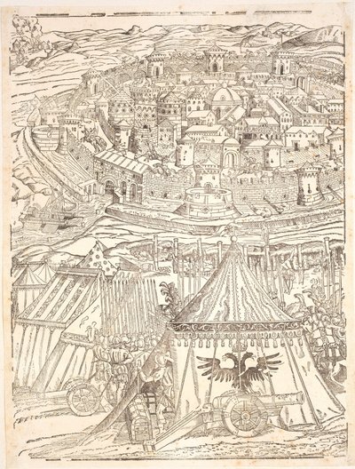 Schwytanie Golety w Tunisie – Carl V autorstwa Domenico dei Franceschi