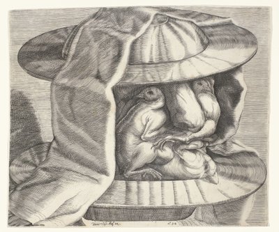 Groteskowa głowa z hełmem w stylu Arcimboldo Groteskowa głowa z hełmem w stylu Arcimboldo autorstwa Dominicus Custos
