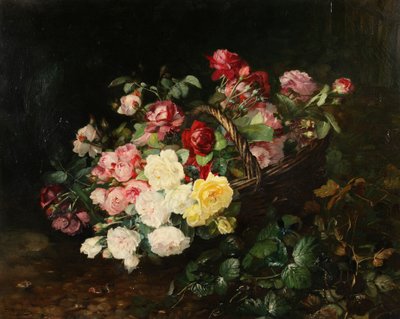 Róże autorstwa Dominique Herbert Rozier