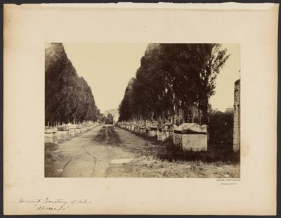 [Starożytny cmentarz w Arles, "Alyscamps"]. autorstwa Dominique Roman