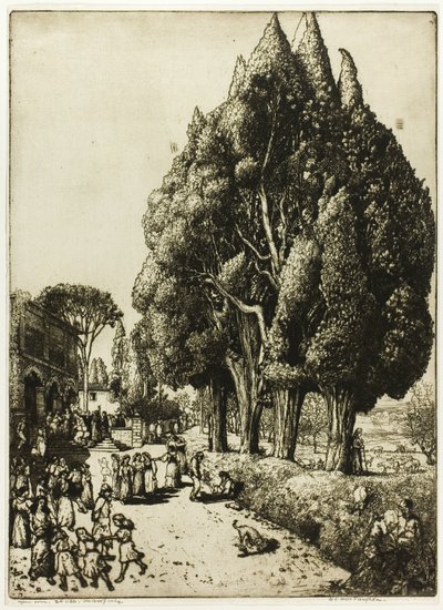 Cyprysowy Gaj autorstwa Donald Shaw MacLaughlan