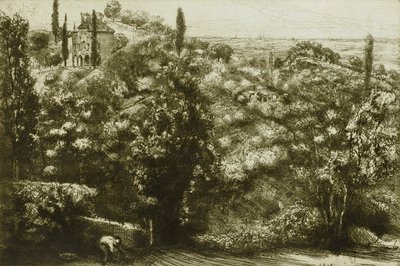 Wieczorne cienie autorstwa Donald Shaw MacLaughlan