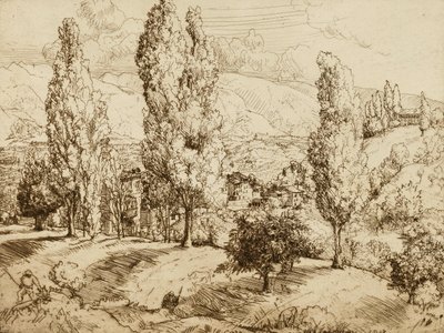 Pola Asolo autorstwa Donald Shaw MacLaughlan