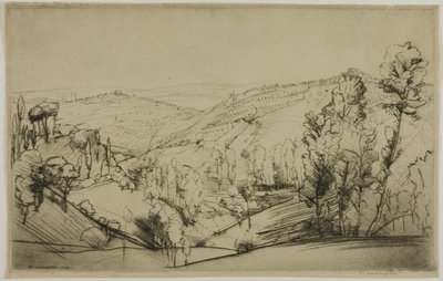 Pola San Gimignano autorstwa Donald Shaw MacLaughlan