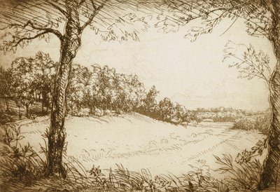 Letni poranek w Tennessee autorstwa Donald Shaw MacLaughlan