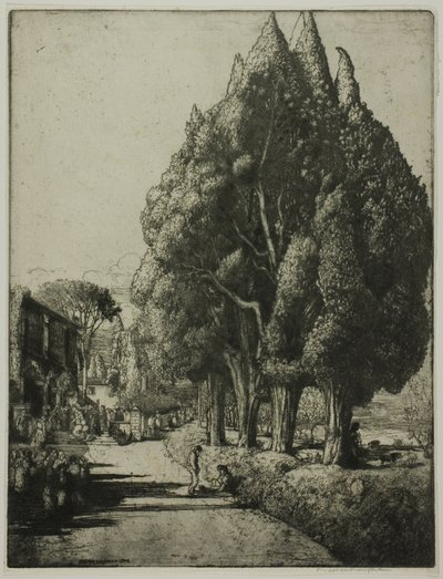 Cyprysowy Gaj autorstwa Donald Shaw MacLaughlan
