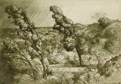 Burza autorstwa Donald Shaw MacLaughlan