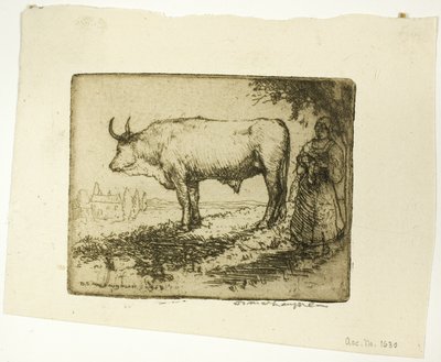 Biały Wół autorstwa Donald Shaw MacLaughlan