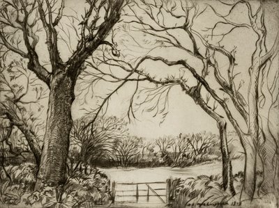 Tragenna Wood autorstwa Donald Shaw MacLaughlan