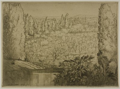 Toskania autorstwa Donald Shaw MacLaughlan