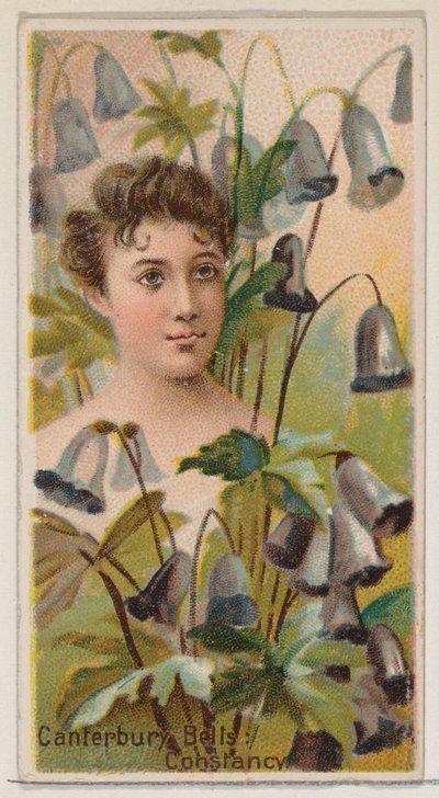 Canterbury Bells: Constancy, z serii Floral Beauties and Language of Flowers N75..., 1892. autorstwa Donaldson Brothers