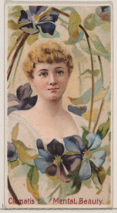 Clematis: Mental Beauty, z serii Floral Beauties and Language of Flowers N75 dla..., 1892. autorstwa Donaldson Brothers