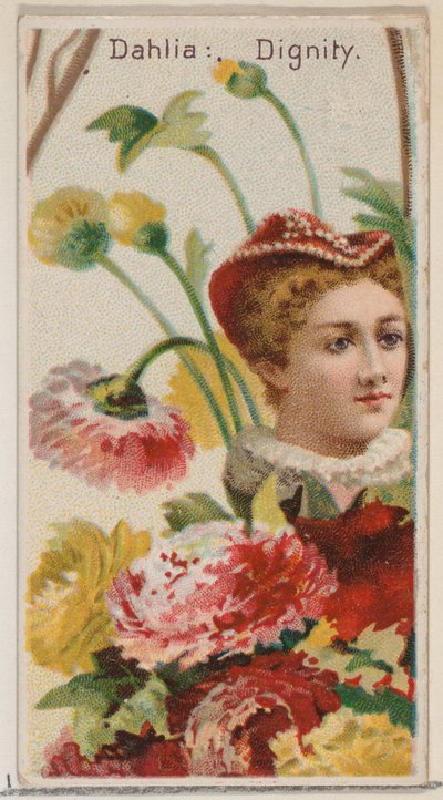 Dahlia: Dignity, z serii Floral Beauties and Language of Flowers N75 dla Duke br..., 1892. autorstwa Donaldson Brothers