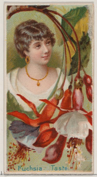 Fuchsia: Taste, z serii Floral Beauties and Language of Flowers N75 dla biustonosza Duke..., 1892. autorstwa Donaldson Brothers