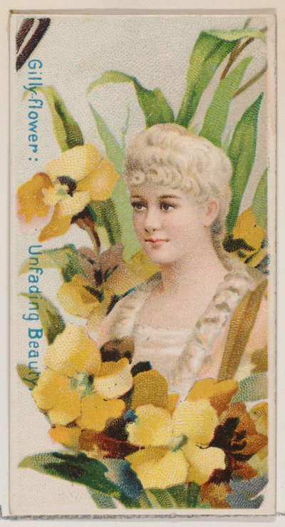 Gilly-flower: Unfading Beauty, z serii Floral Beauties and Language of Flowers N7..., 1892. autorstwa Donaldson Brothers
