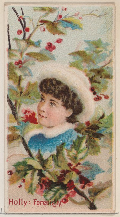 Holly: Foresight, z serii Floral Beauties and Language of Flowers N75 dla Duke b..., 1892. autorstwa Donaldson Brothers