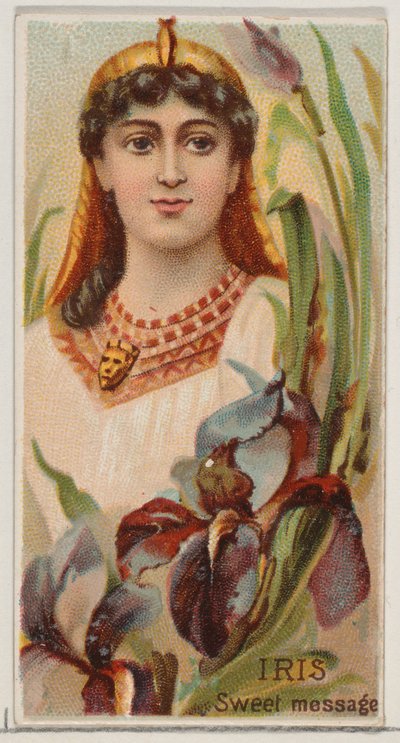 Iris: Sweet Message, z serii Floral Beauties and Language of Flowers N75 dla Duk..., 1892. autorstwa Donaldson Brothers