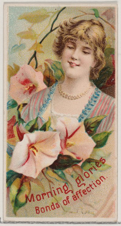 Morning Glories: Bonds of Affection, z serii Floral Beauties and Language of Flowe..., 1892. autorstwa Donaldson Brothers