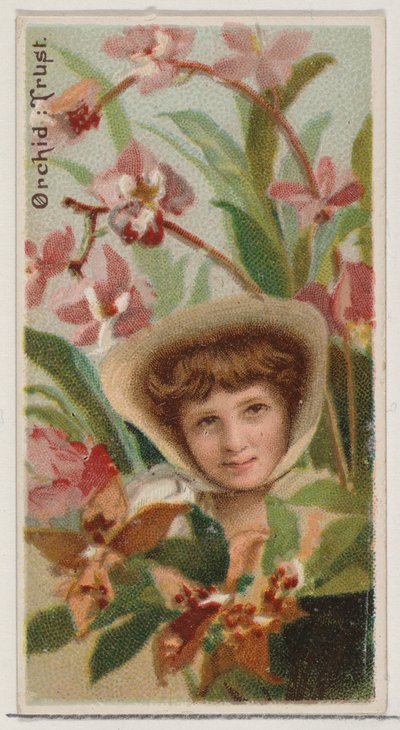 Orchid: Trust, z serii Floral Beauties and Language of Flowers N75 dla Duke bran..., 1892. autorstwa Donaldson Brothers