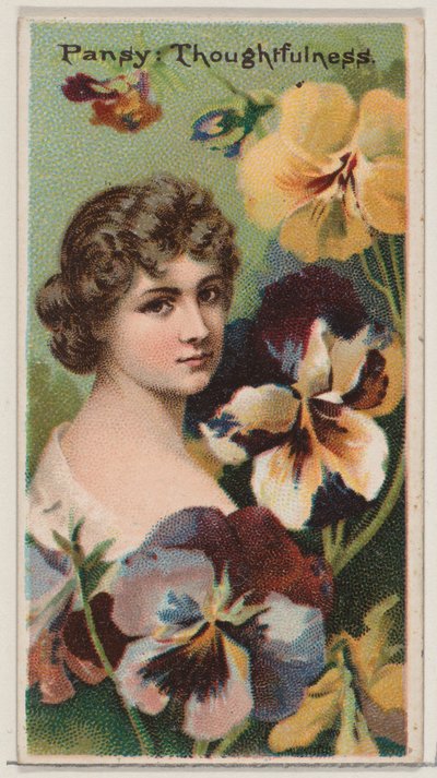 Pansy: Thoughtfulness z serii Floral Beauties and Language of Flowers N75 dla D..., 1892. autorstwa Donaldson Brothers