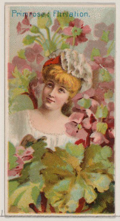 Pierwiosnek: Flirt, z serii Floral Beauties and Language of Flowers N75 dla Du..., 1892. autorstwa Donaldson Brothers
