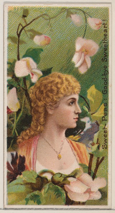 Sweet-Peas: Goodbye Sweetheart!, z serii Floral Beauties and Language of Flowers..., 1892. autorstwa Donaldson Brothers