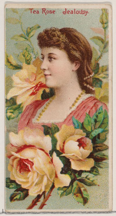 Tea Rose: Jealousy, z serii Floral Beauties and Language of Flowers N75 dla Duke..., 1892. autorstwa Donaldson Brothers