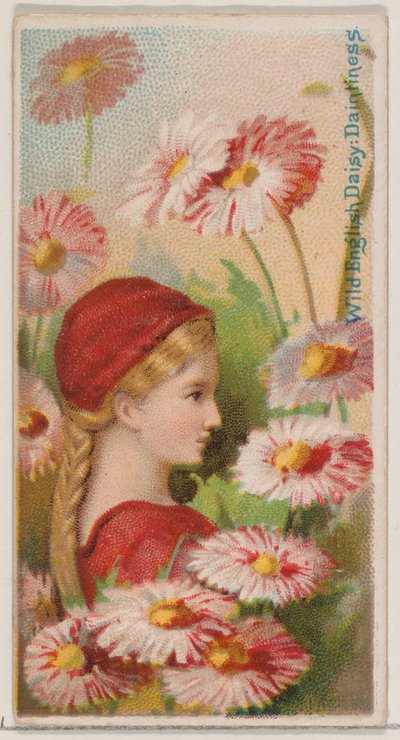 Wild English Daisy: Delikatność, z serii Floral Beauties and Language of Flowers N..., 1892. autorstwa Donaldson Brothers