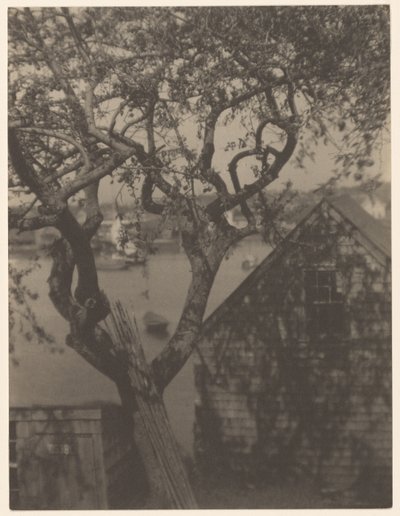 Scena w porcie, prawdopodobnie Gloucester, Massachusetts autorstwa Doris Ulmann