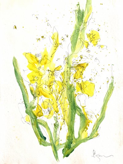 Jasnożółte kwiaty autorstwa Dorothy Fagan