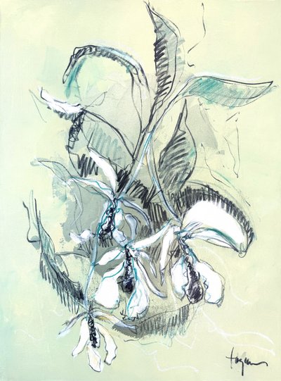 Delikatny szkic orchidei autorstwa Dorothy Fagan