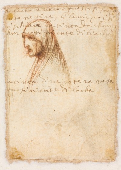 Profil długości biustu starej kobiety verso, c. 1521. autorstwa Dosso Dossi