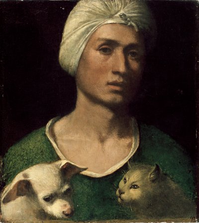 Portret młodego mężczyzny trzymającego psa i kota, ok. 1530 r. autorstwa Dosso Dossi