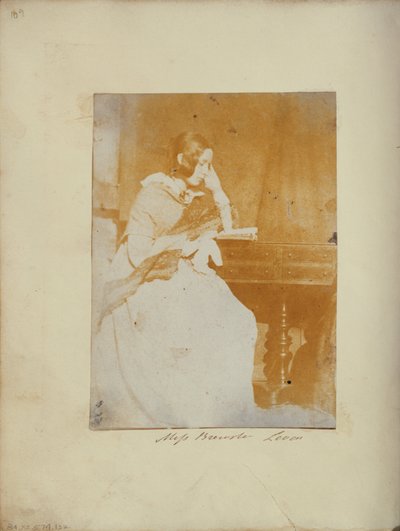 panna Brewster autorstwa Dr. John Adamson