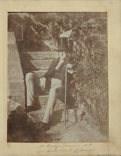 Pan Evelyn Denison autorstwa Dr. John Adamson