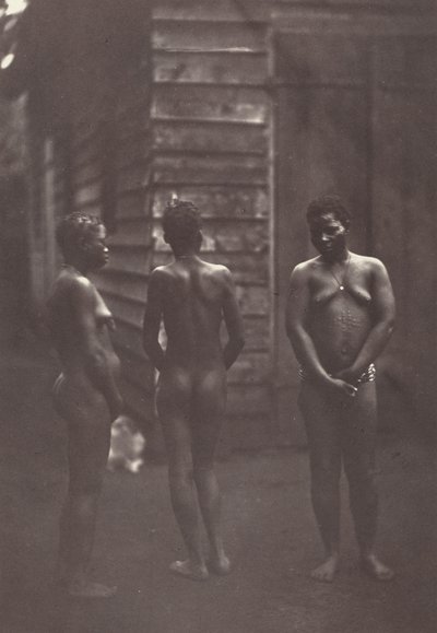 Trzy malgaskie kobiety (plansza 30), 1863 (zdjęcie) autorstwa Désiré Charnay