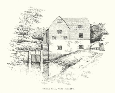Castle Mill, w pobliżu Dorking (litografia) autorstwa Duncan Moul