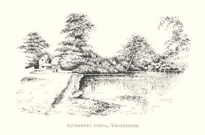 Squerryes Ponds, Westerham (litografia) autorstwa Duncan Moul