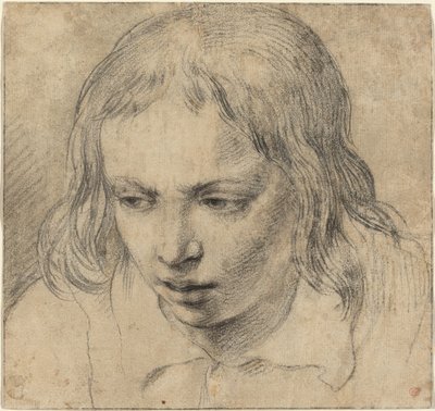 Głowa młodzieńca [odbyt] autorstwa Dutch 17th Century