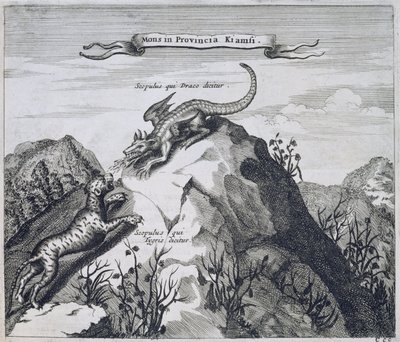 Góra w prowincji Jiangxi ze skałami znanymi jako smok i tygrys, z Chin Ilustrowany przez Athanasiusa Kirchera (1601-80) 1667 autorstwa Dutch School